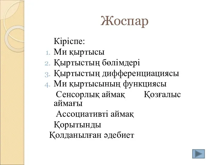 Жоспар Кіріспе: Ми қыртысы Қыртыстың бөлімдері Қыртыстың дифференциациясы Ми қыртысының