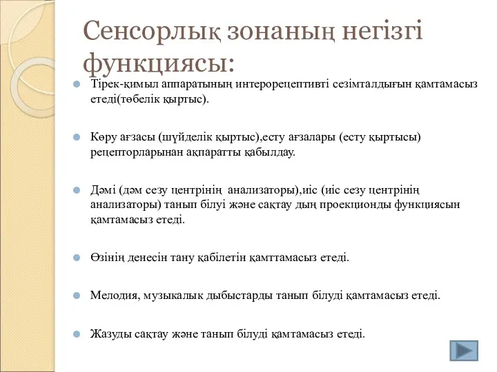 Сенсорлық зонаның негізгі функциясы: Тірек-қимыл аппаратының интерорецептивті сезімталдығын қамтамасыз етеді(төбелік