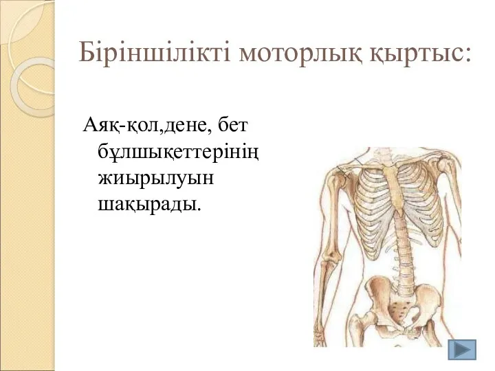 Біріншілікті моторлық қыртыс: Аяқ-қол,дене, бет бұлшықеттерінің жиырылуын шақырады.