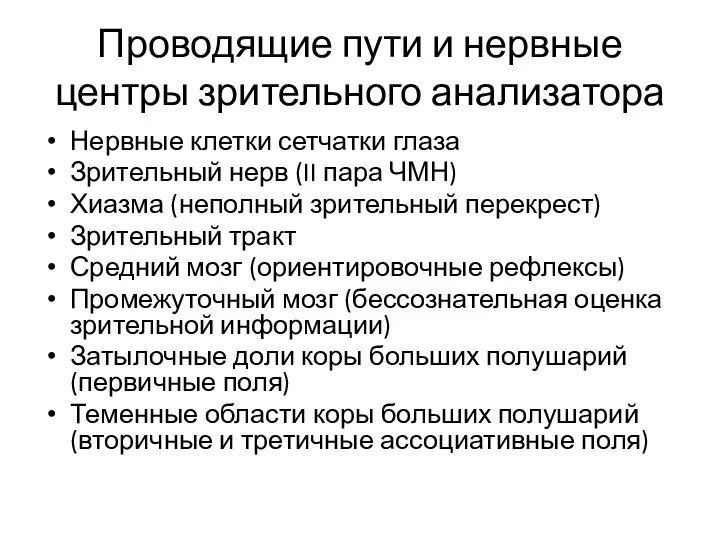 Проводящие пути и нервные центры зрительного анализатора Нервные клетки сетчатки