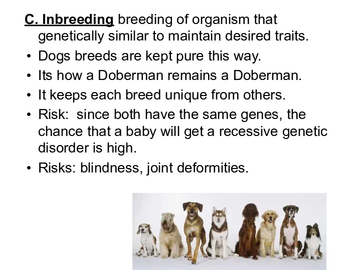 C. Inbreeding breeding of organism that genetically similar to maintain
