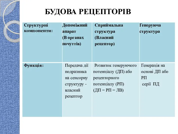 БУДОВА РЕЦЕПТОРІВ