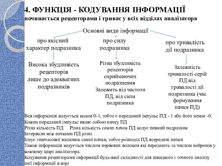 4. ФУНКЦІЯ - КОДУВАННЯ ІНФОРМАЦІЇ починається рецепторами і триває у