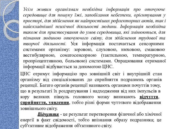 ЦНС отримує інформацію про зовнішній світ і внутрішній стан організму