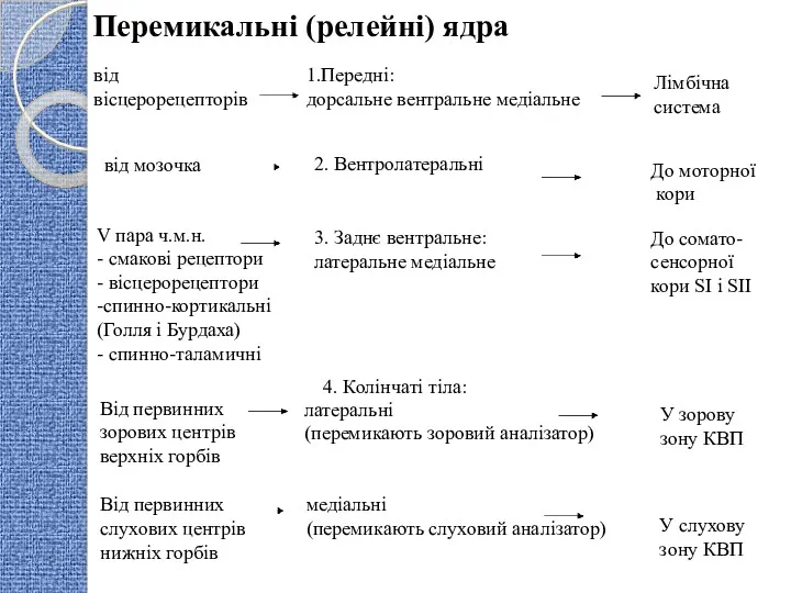 Перемикальні (релейні) ядра від вісцерорецепторів 1.Передні: дорсальне вентральне медіальне Лімбічна