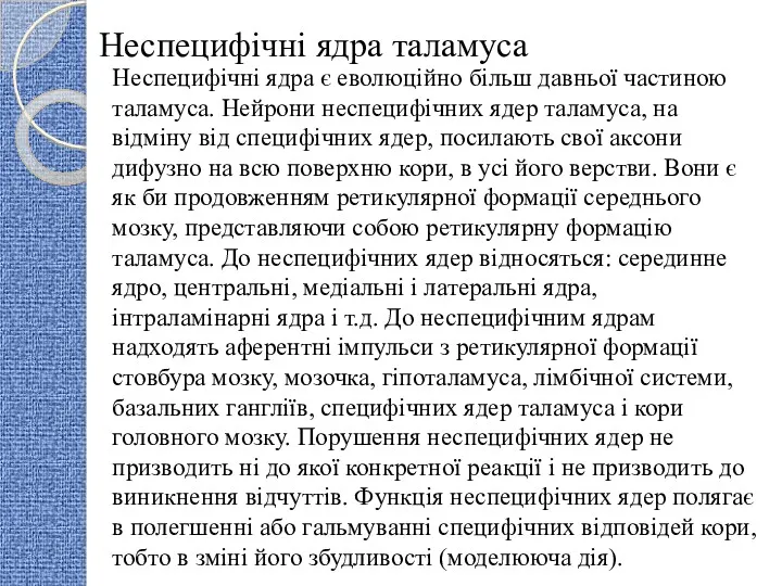 Неспецифічні ядра таламуса Неспецифічні ядра є еволюційно більш давньої частиною