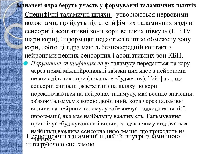 Специфічні таламичні шляхи - утворюються нервовими волокнами, що йдуть від