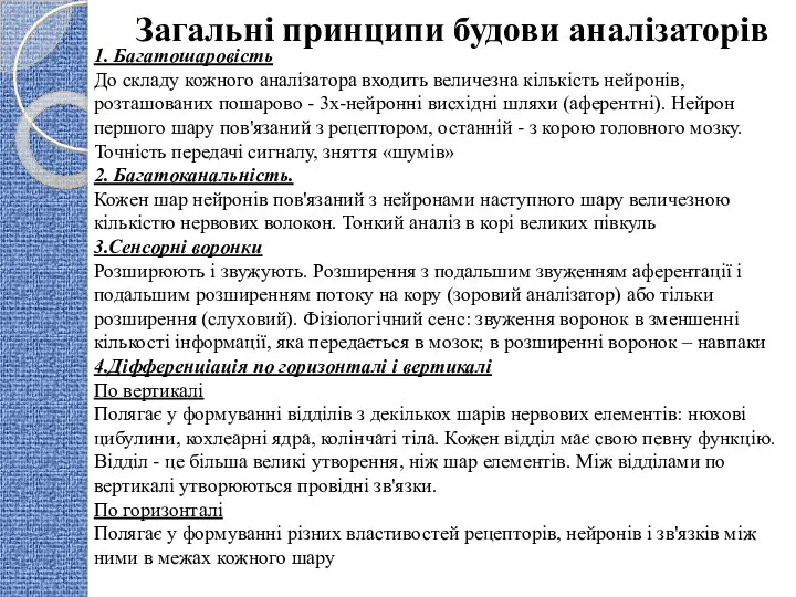 Загальні принципи будови аналізаторів 1. Багатошаровість До складу кожного аналізатора