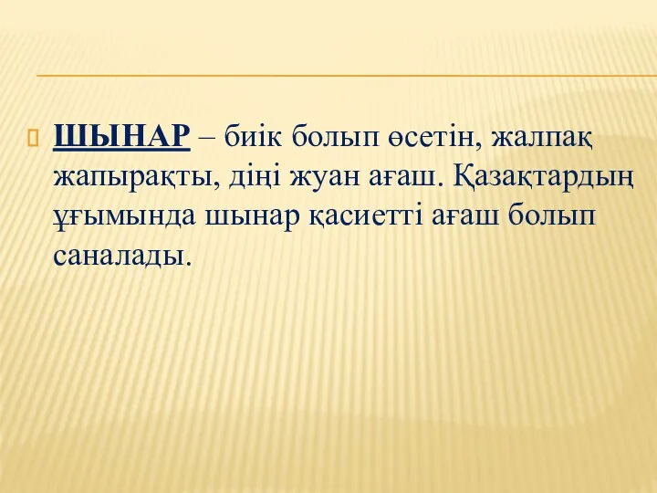 ШЫНАР – биік болып өсетін, жалпақ жапырақты, діңі жуан ағаш.