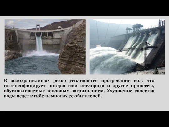 В водохранилищах резко усиливается прогревание вод, что интенсифицирует потерю ими