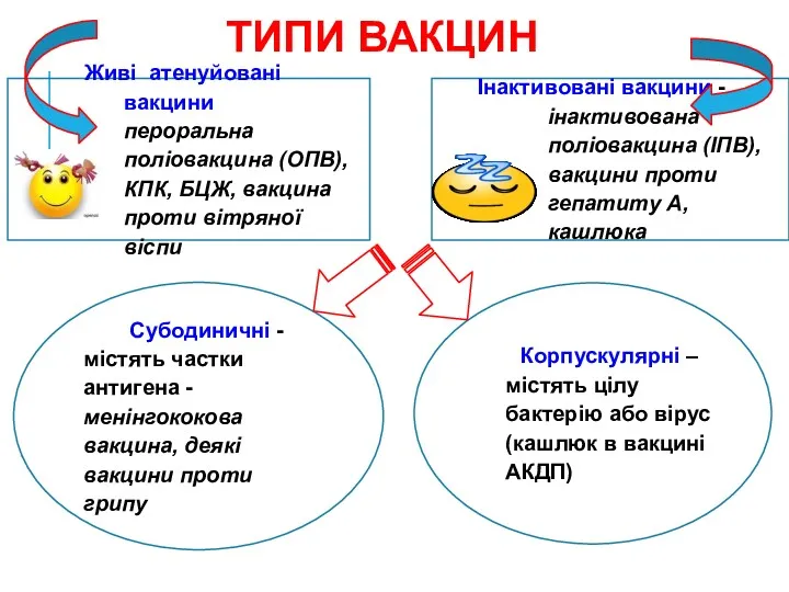 ТИПИ ВАКЦИН Живі атенуйовані вакцини - пероральна поліовакцина (ОПВ), КПК,