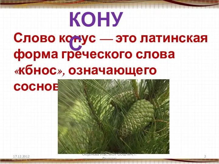 Слово конус — это латинская форма греческого слова«кбнос», означающего сосновая