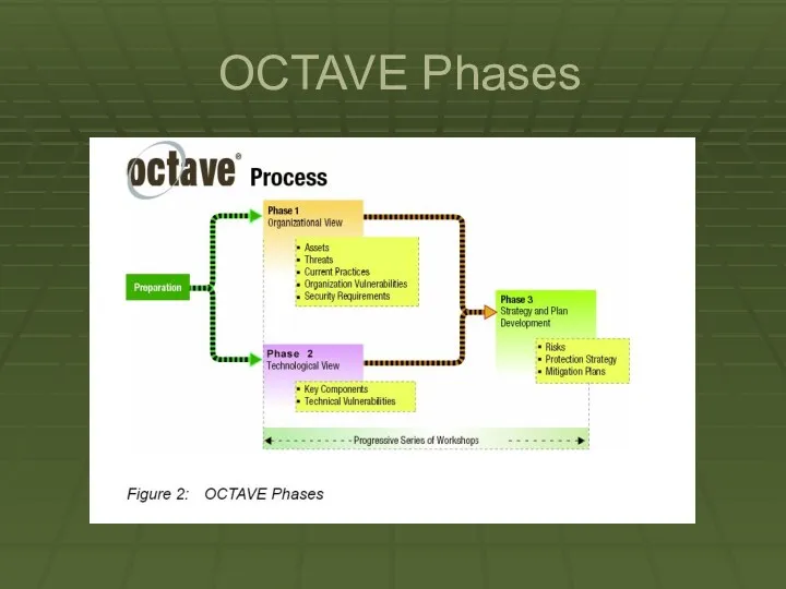 OCTAVE Phases
