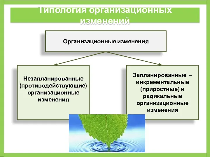 Типология организационных изменений Организационные изменения Незапланированные (противодействующие) организационные изменения Запланированные