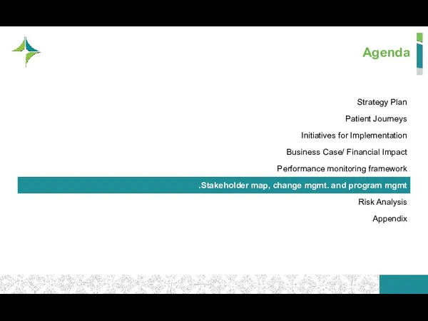 Agenda Strategy Plan Patient Journeys Initiatives for Implementation Business Case/