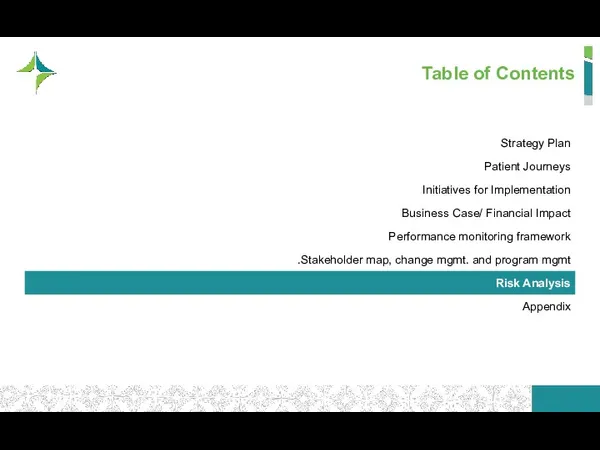 Table of Contents Strategy Plan Patient Journeys Initiatives for Implementation