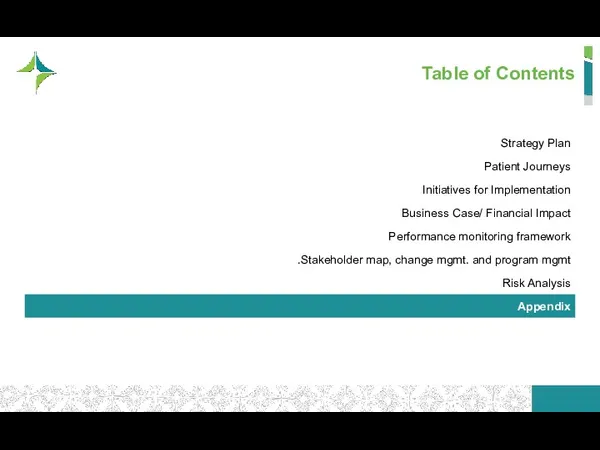 Table of Contents Strategy Plan Patient Journeys Initiatives for Implementation