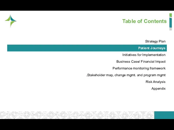 Table of Contents Strategy Plan Patient Journeys Initiatives for Implementation