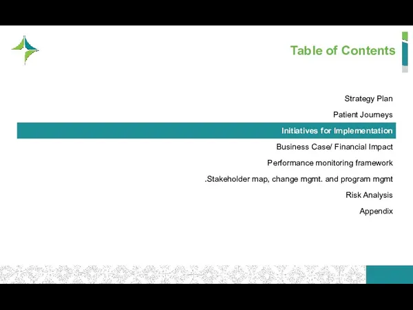 Table of Contents Strategy Plan Patient Journeys Initiatives for Implementation