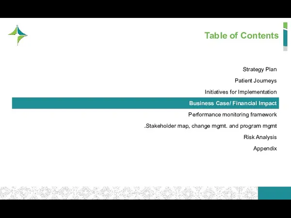 Table of Contents Strategy Plan Patient Journeys Initiatives for Implementation