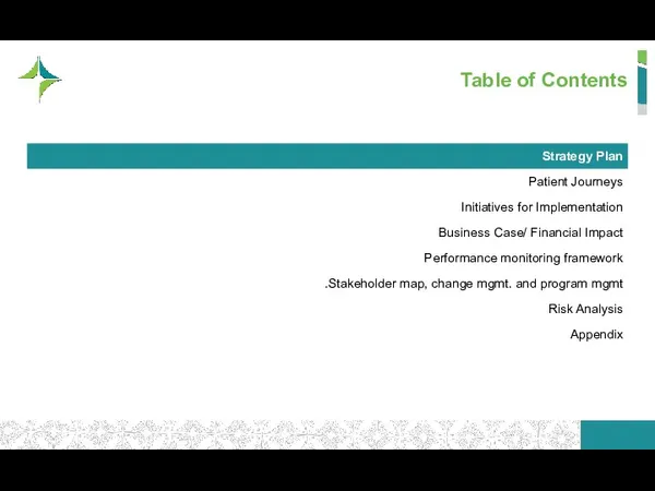 Table of Contents Strategy Plan Patient Journeys Initiatives for Implementation