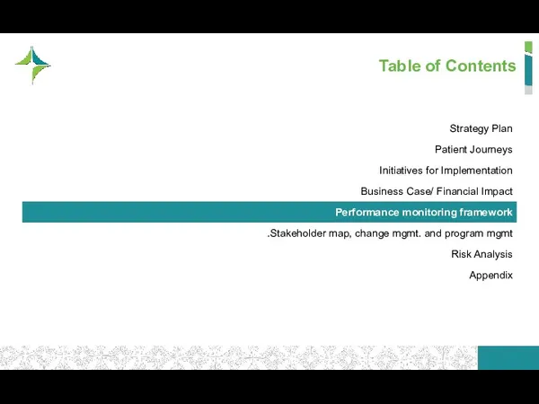 Table of Contents Strategy Plan Patient Journeys Initiatives for Implementation