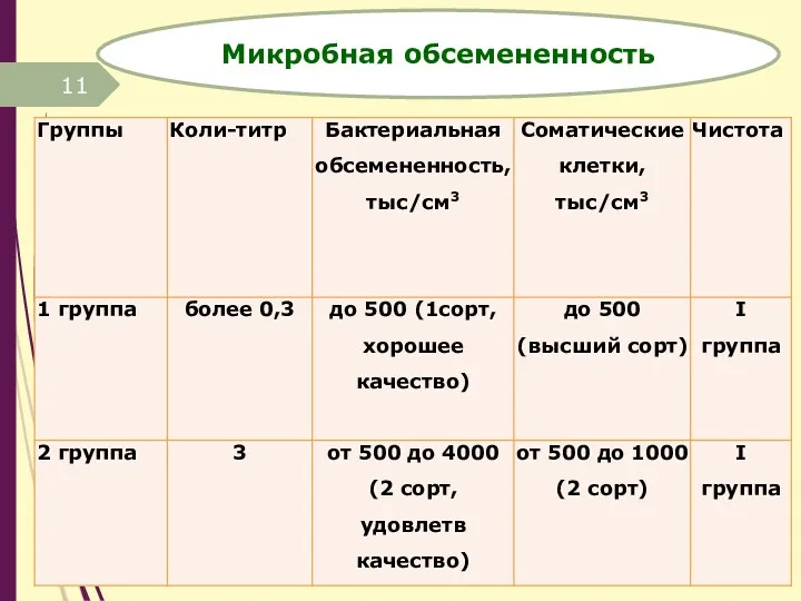 кафедра ветеринарно-санитарной экспертизы Микробная обсемененность