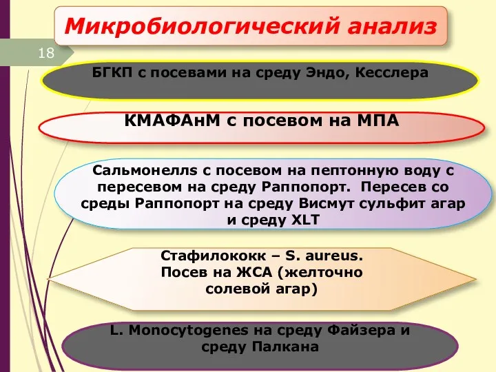 кафедра ветеринарно-санитарной экспертизы Микробиологический анализ БГКП с посевами на среду