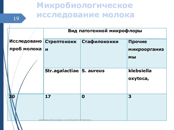 Микробиологическое исследование молока кафедра ветеринарно-санитарной экспертизы