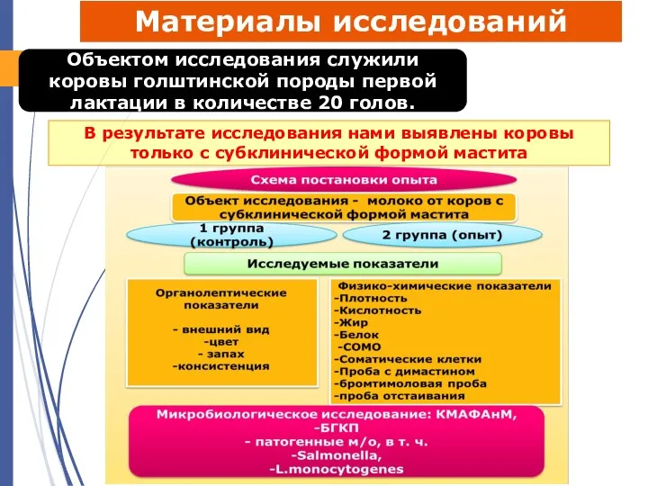 кафедра ветеринарно-санитарной экспертизы Материалы исследований Объектом исследования служили коровы голштинской