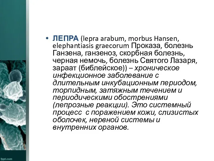 ЛЕПРА (lepra arabum, morbus Hansen, elephantiasis graecorum Проказа, болезнь Ганзена,