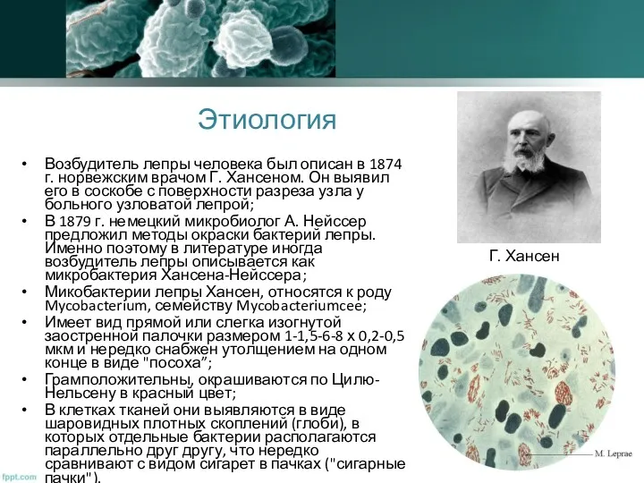 Этиология Возбудитель лепры человека был описан в 1874 г. норвежским