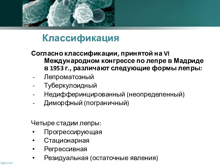 Согласно классификации, принятой на VI Международном конгрессе по лепре в