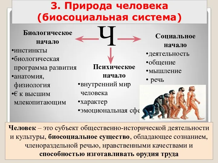 3. Природа человека (биосоциальная система) Ч Биологическое начало инстинкты биологическая