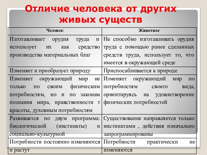 Отличие человека от других живых существ