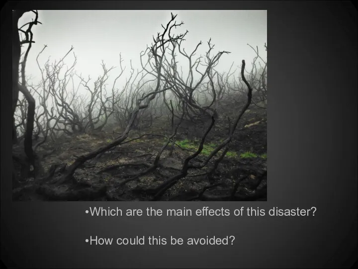Which are the main effects of this disaster? How could this be avoided?