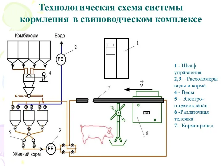 Технологическая схема системы кормления в свиноводческом комплексе 1 - Шкаф управления 2,3 –