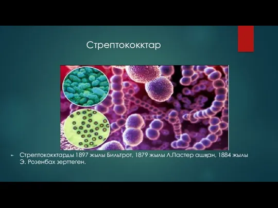 Стрептококктар Стрептококктарды 1897 жылы Бильтрот, 1879 жылы Л.Пастер ашқан, 1884 жылы Э. Розенбах зерттеген. Стрептококктар