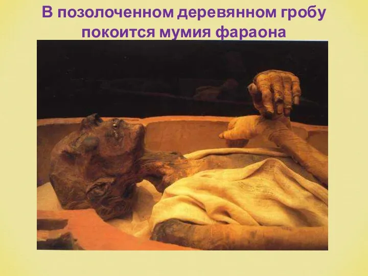 В позолоченном деревянном гробу покоится мумия фараона