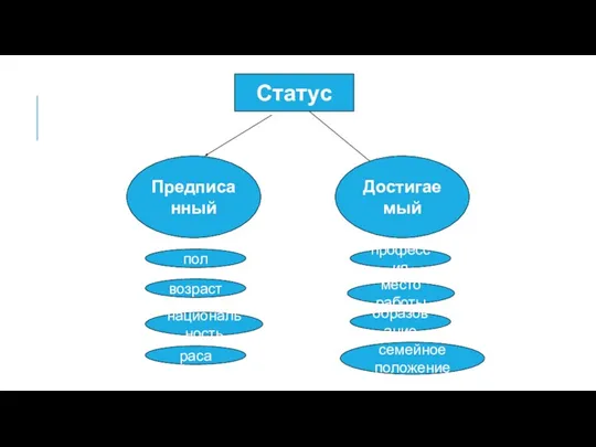 Статус Предписанный Достигаемый пол возраст национальность раса образование место работы профессия семейное положение