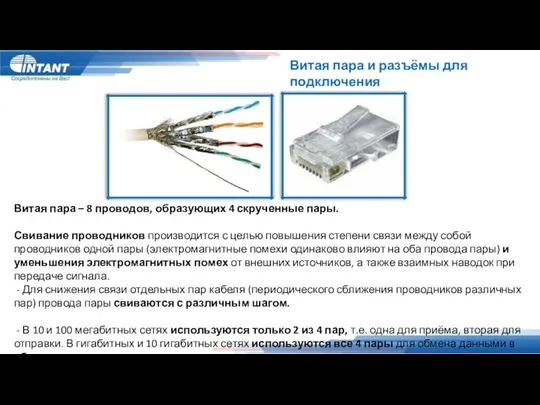 Витая пара и разъёмы для подключения Витая пара – 8