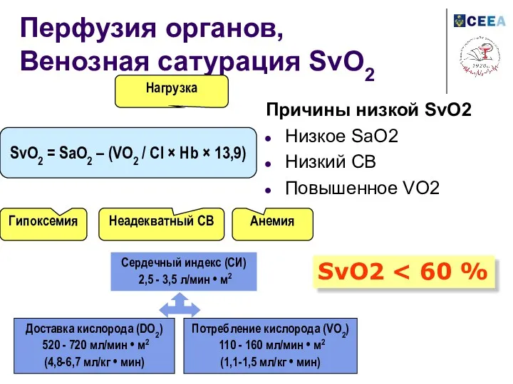 Перфузия органов, Венозная сатурация SvO2 Причины низкой SvO2 Низкое SaO2