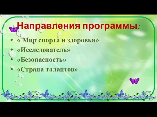 Направления программы: « Мир спорта и здоровья» «Исследователь» «Безопасность» «Страна талантов»