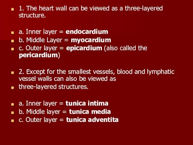 1. The heart wall can be viewed as a three-layered