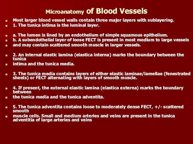 Microanatomy of Blood Vessels Most larger blood vessel walls contain