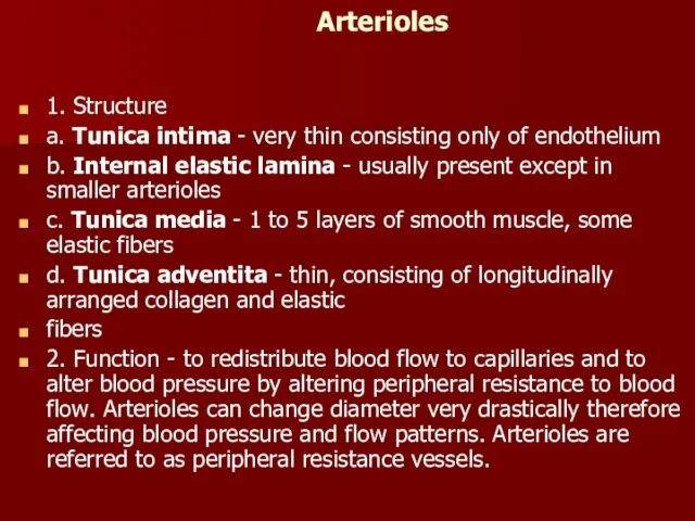 Arterioles 1. Structure a. Tunica intima - very thin consisting