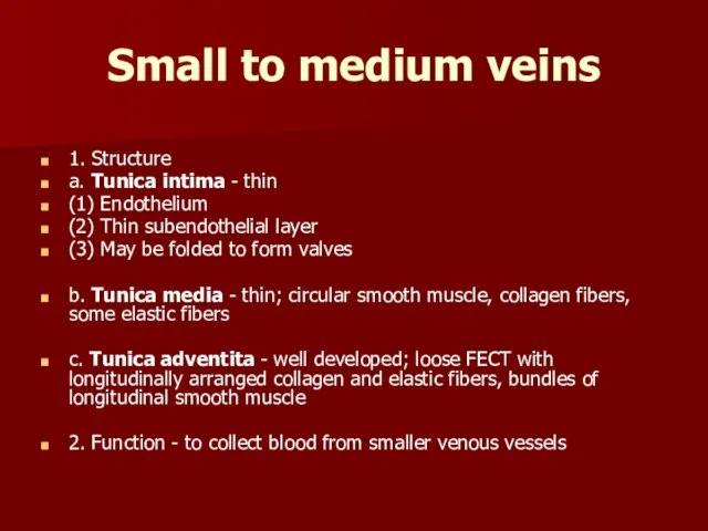 Small to medium veins 1. Structure a. Tunica intima -