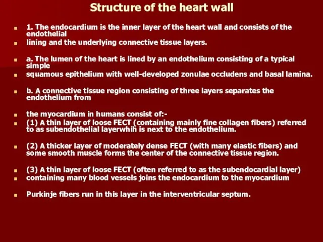 Structure of the heart wall 1. The endocardium is the