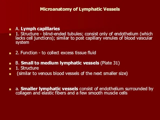 Microanatomy of Lymphatic Vessels A. Lymph capillaries 1. Structure -