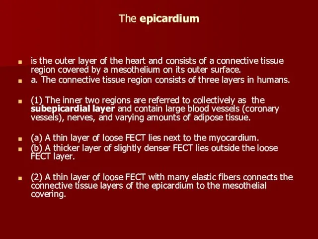 The epicardium is the outer layer of the heart and